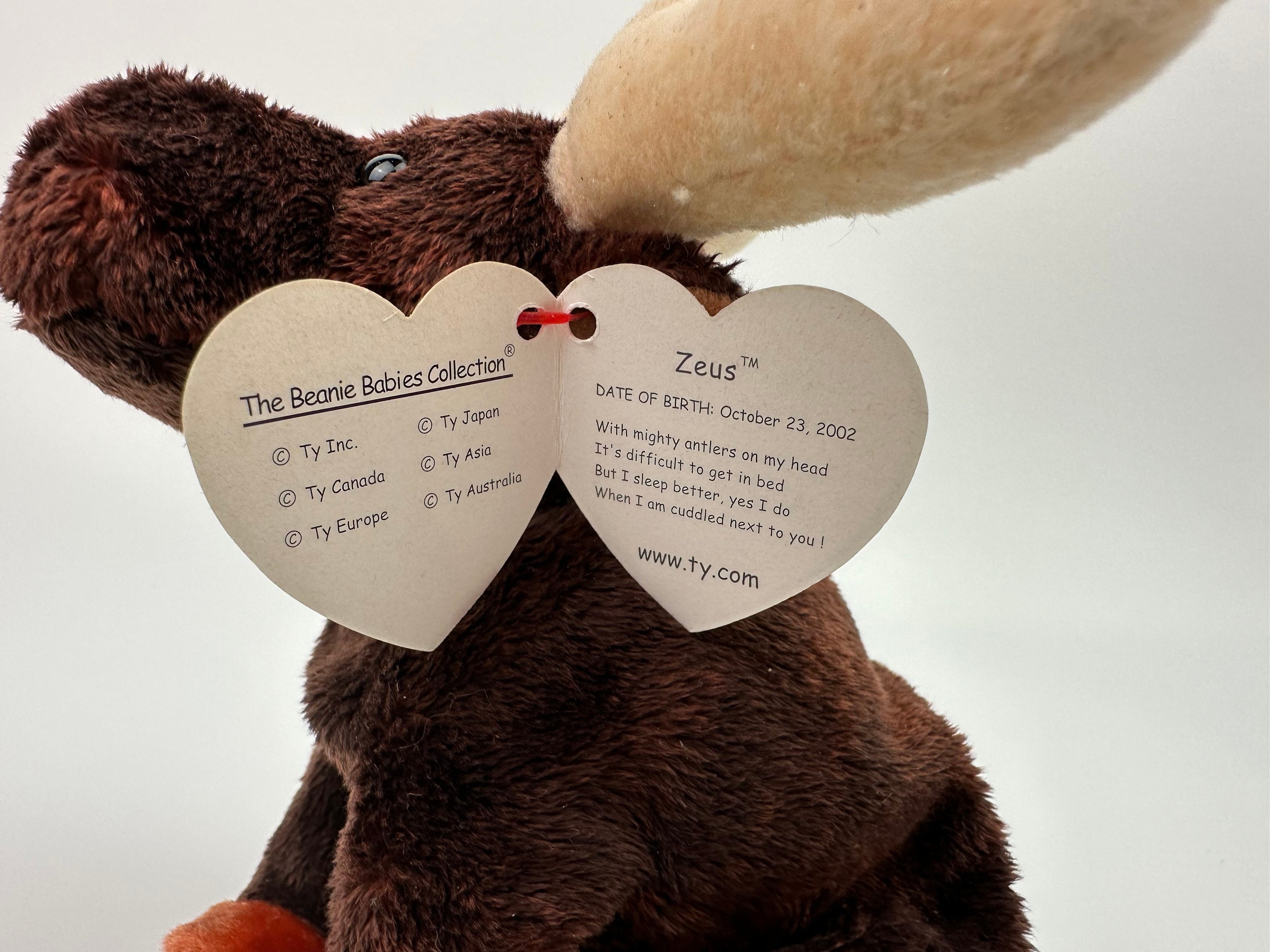 Ty Beanie Baby “zeus” the Moose! (6.5 Inch) - Etsy