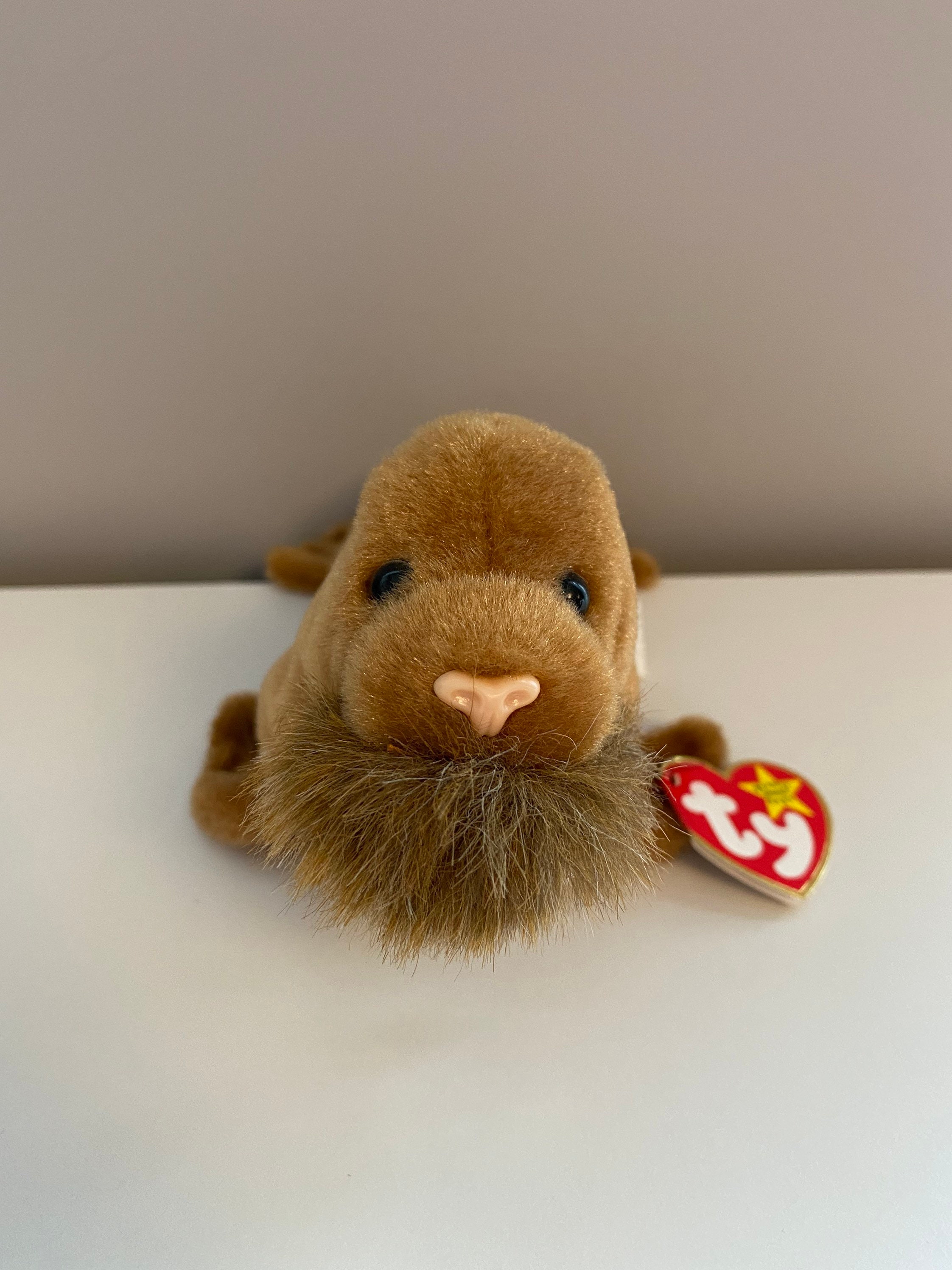 TY Beanie Baby paul the Walrus 7 Inch - Etsy