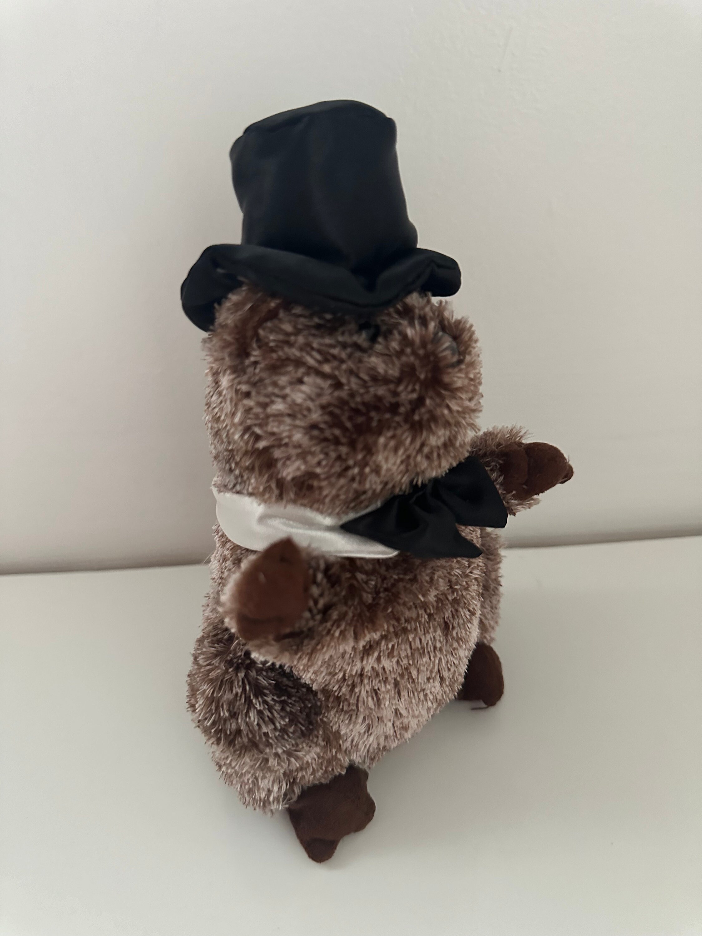 Ty Beanie Baby “punxsutawney Phil” the Groundhog Black Bow Ty Beanie Baby “punxsutawney Phil” the Groundhog Black Bow