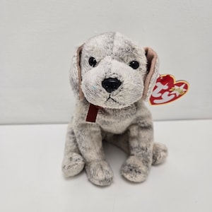 Puede incluir: Un perro de peluche gris y blanco con una cinta roja alrededor del cuello. El perro está sentado y tiene una etiqueta de Ty Beanie Baby unida a su oreja.