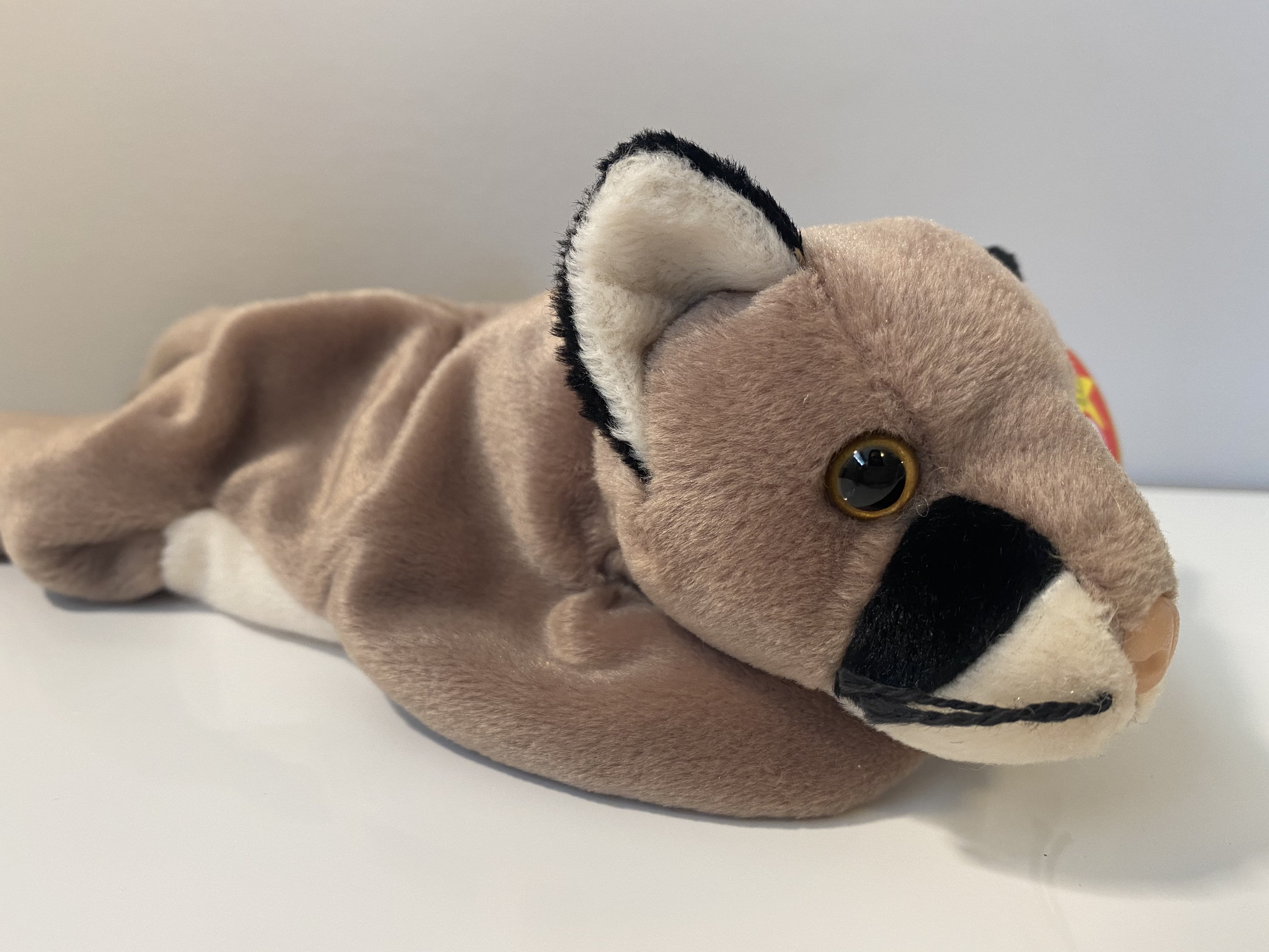 TY Beanie Baby Canyon the Cougar 8.5 inch Etsy