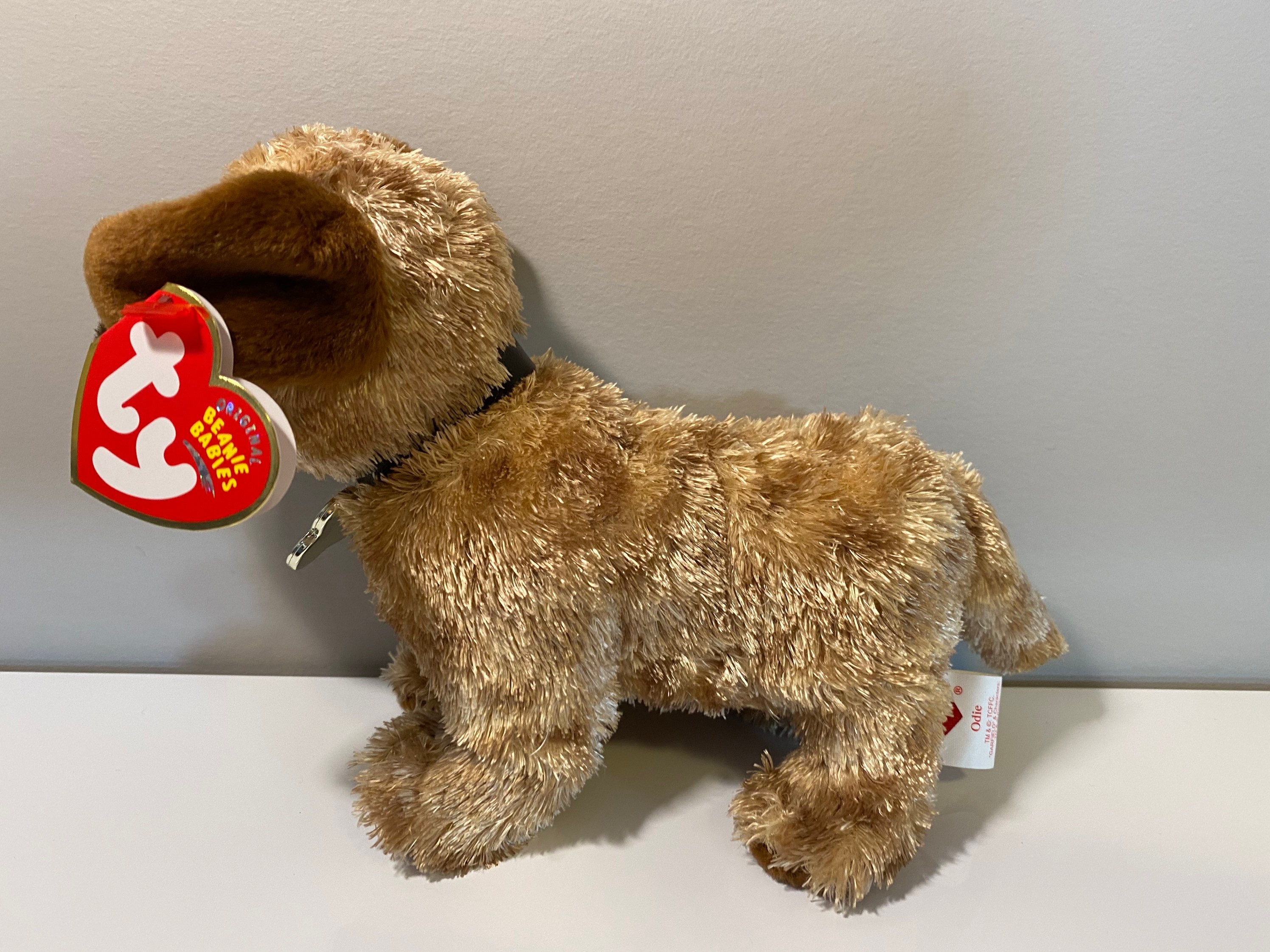 TY Beanie Baby Odie der Hund Garfield Film Etsy