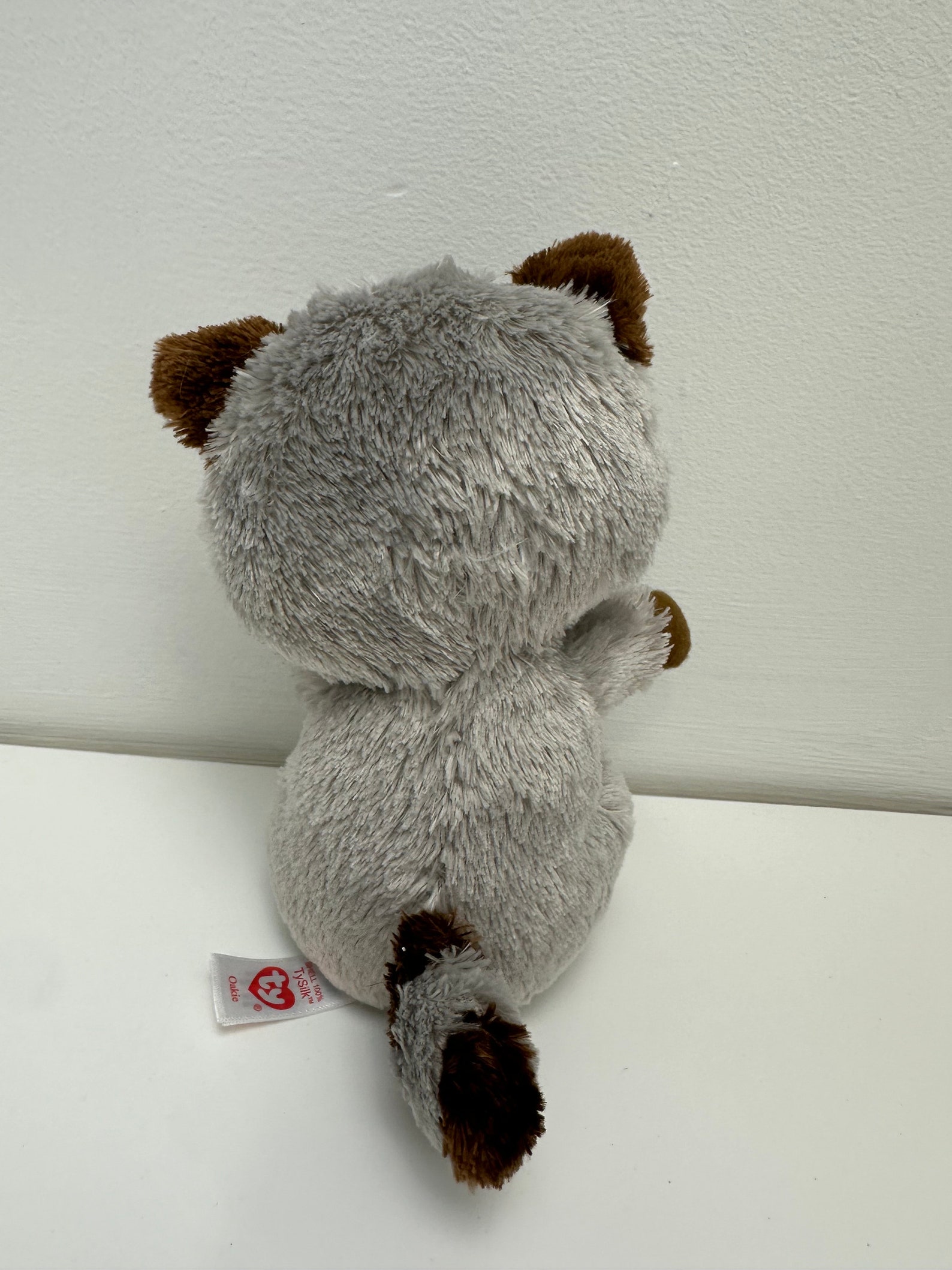 Ty Beanie Boo “oakie” the Grey Racoon No Hang Tag