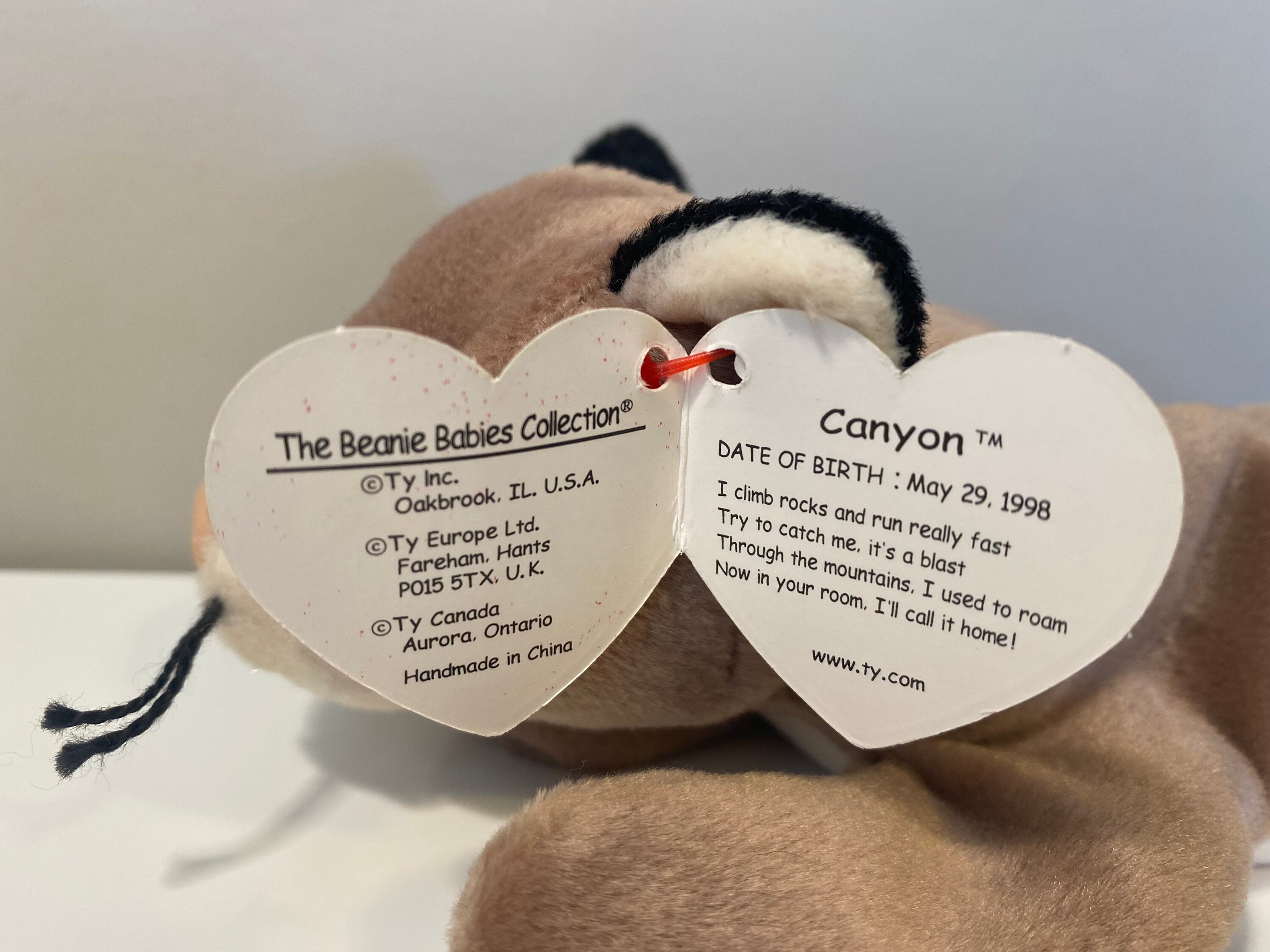 TY Beanie Baby canyon the Cougar 8.5 Inch Etsy