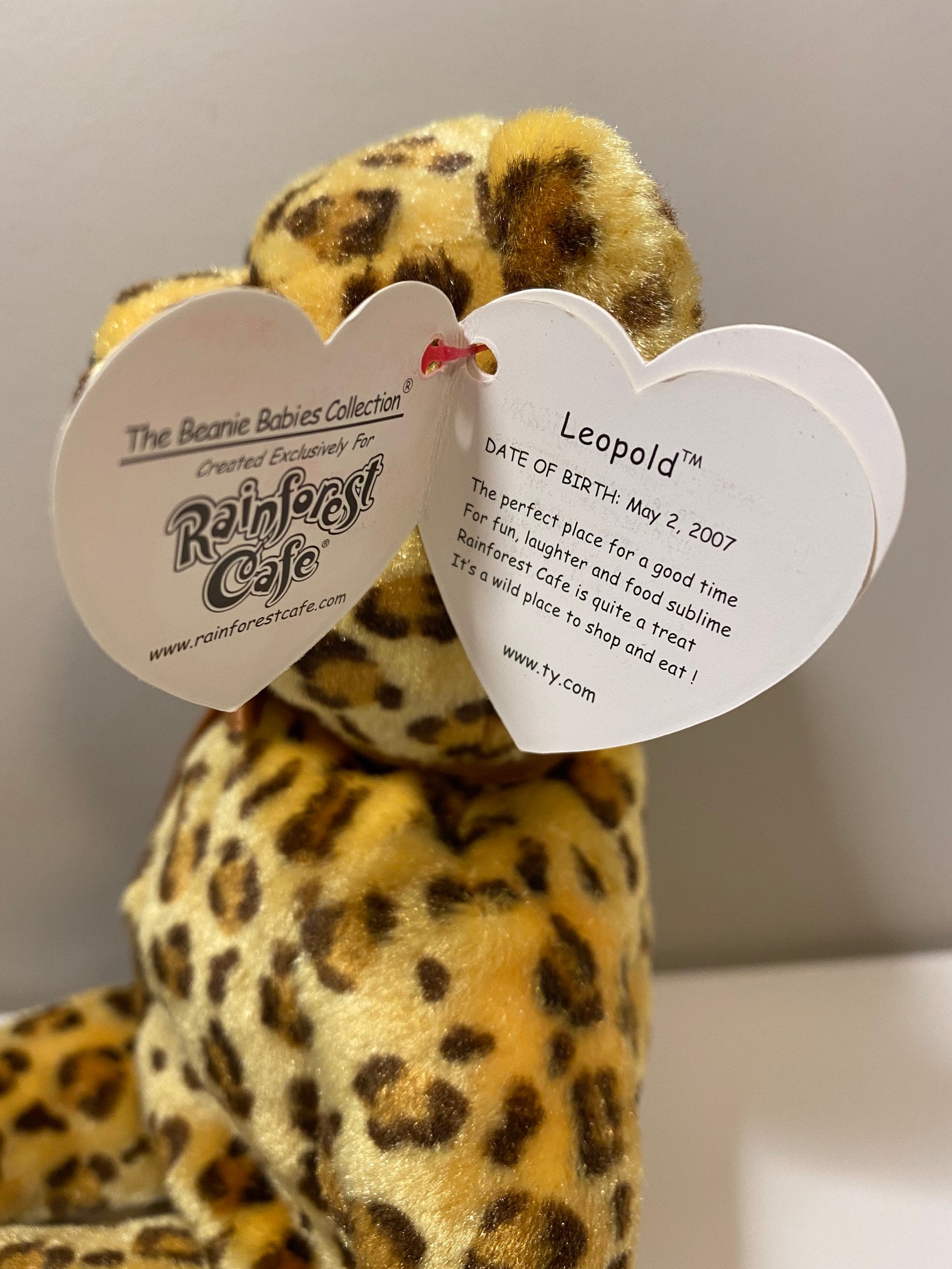 TY Beanie Baby Leopold the Rainforest Cafe Leopard Bear | Etsy