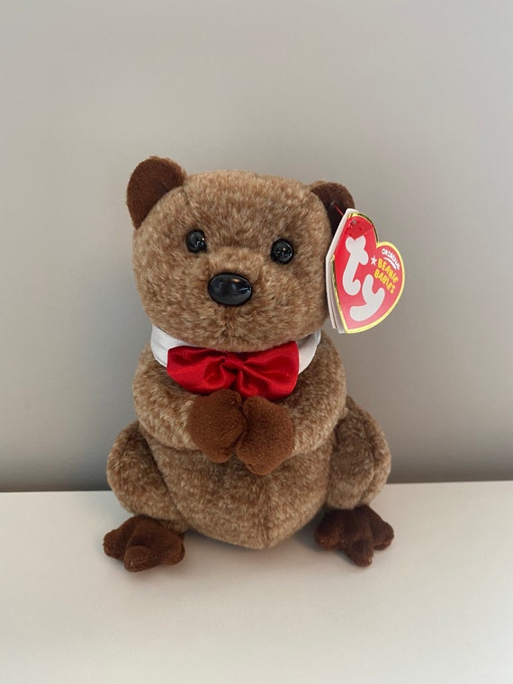 Ty Beanie Baby Punxsutawney Phil la marmotte en peluche Chambre de commerce  exclusive Rare 16,5 cm -  France