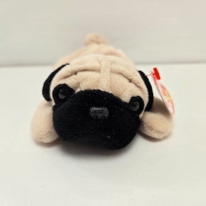 Ty Beanie Baby “Pugsly” the Pug ! (8 inch)