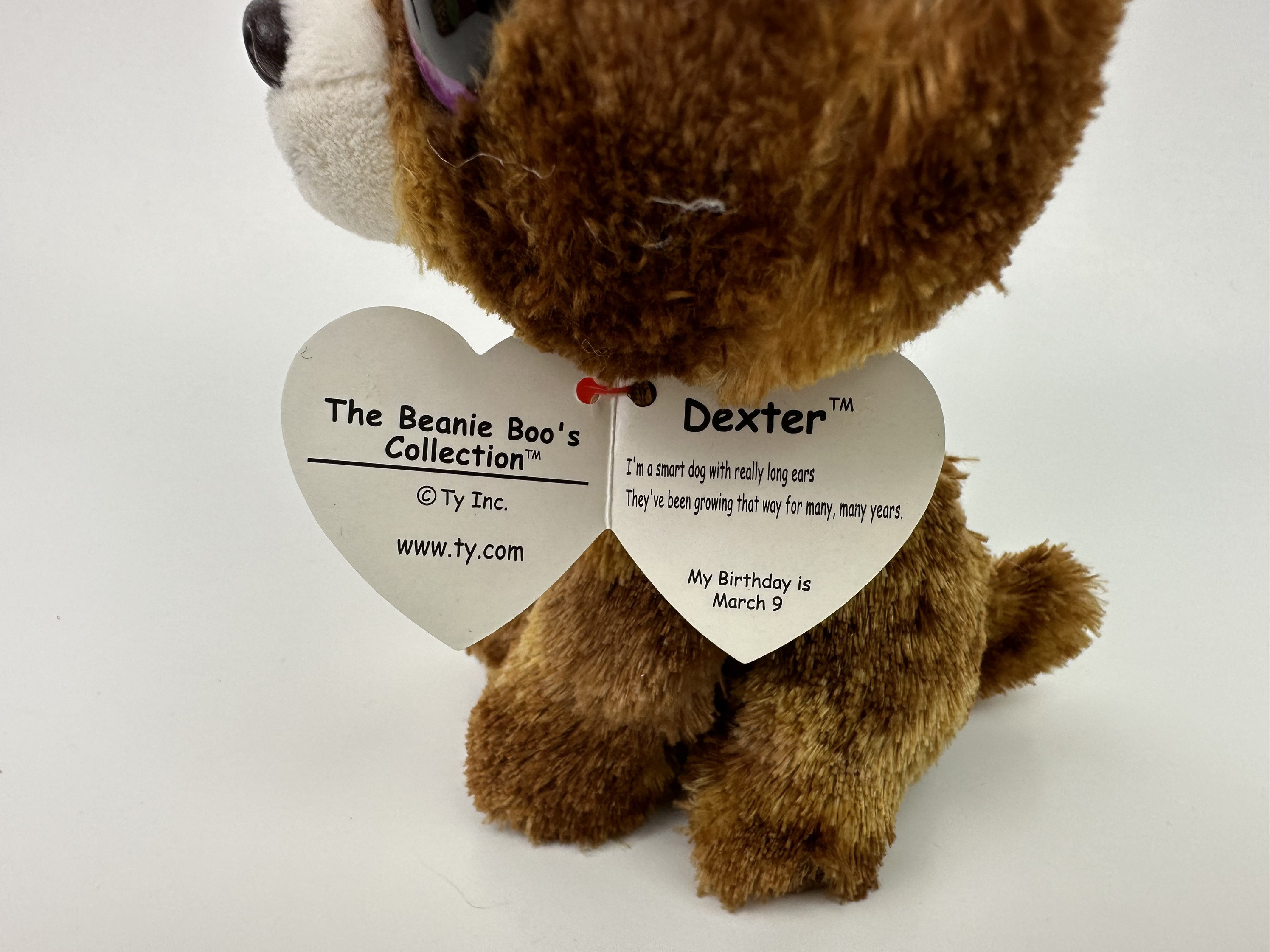 Ty Beanie Boo dexter the Chihuahua Dog 6 Inch Etsy