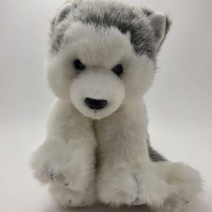 以下が含まれることがあります： グレーと白の毛並みのハスキー犬のぬいぐるみ。ぬいぐるみは黒い鼻と黒い目を持っています。おもちゃは前足を出して直立しています。