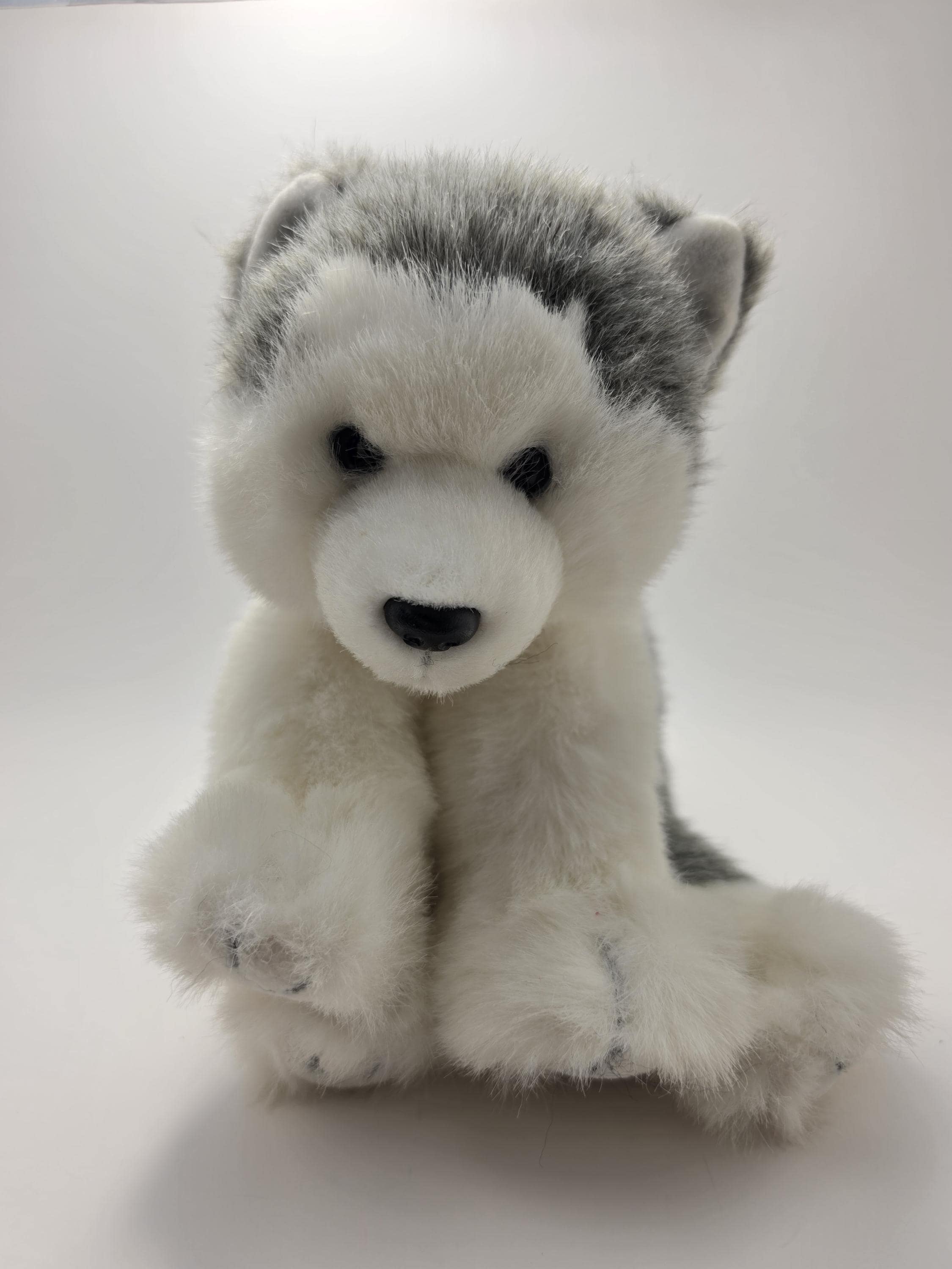 TY Classics Collection “dakota” the Husky Dog (10 Inch) No Hang