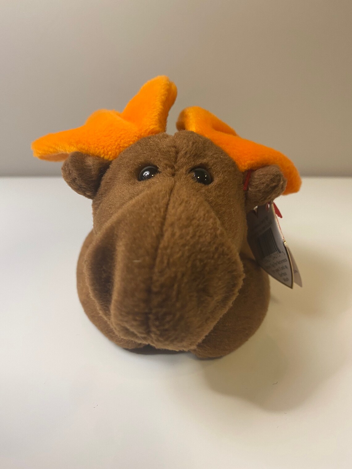 TY Beanie Baby Chocolate the Moose Plush 9 inch Etsy