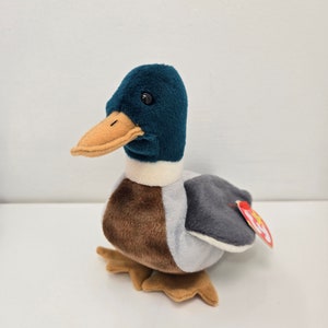 Pu&ograve; includere: Un'anatra di peluche blu-verde e marrone con una striscia bianca intorno al collo. L'anatra ha un becco marrone e occhi neri. L'anatra &egrave; seduta su una superficie bianca. L'anatra ha un'etichetta Ty rossa e bianca attaccata alla sua ala.