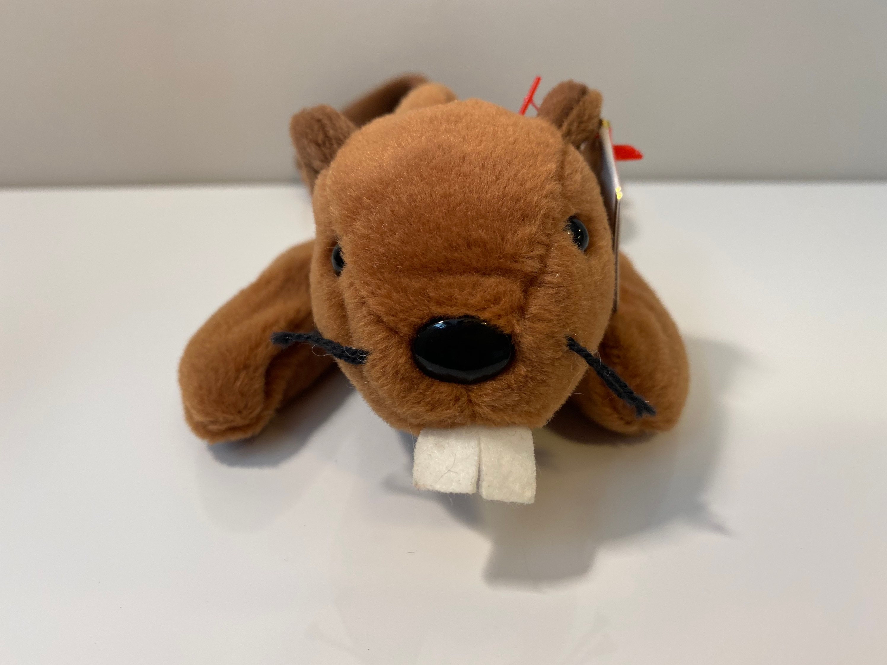 Beaver 2024 beanie boo