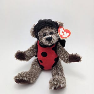 May include: A brown and black ladybug plush toy with a red and black spotted costume. The toy has a black beanie with a ladybug design and a red and black spotted body. The toy has a Ty tag attached to its right arm.