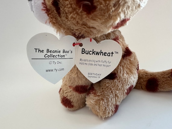 TY Beanie Boo Buckwheat the Lynx 6 inch Etsy