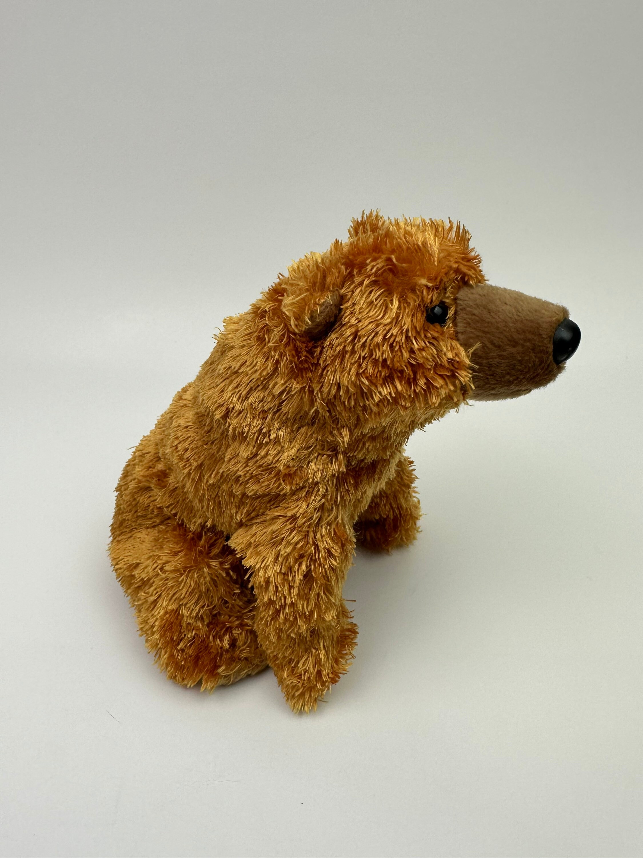 Ty Beanie Baby Sequoia the Brown Bear 5 inch Etsy