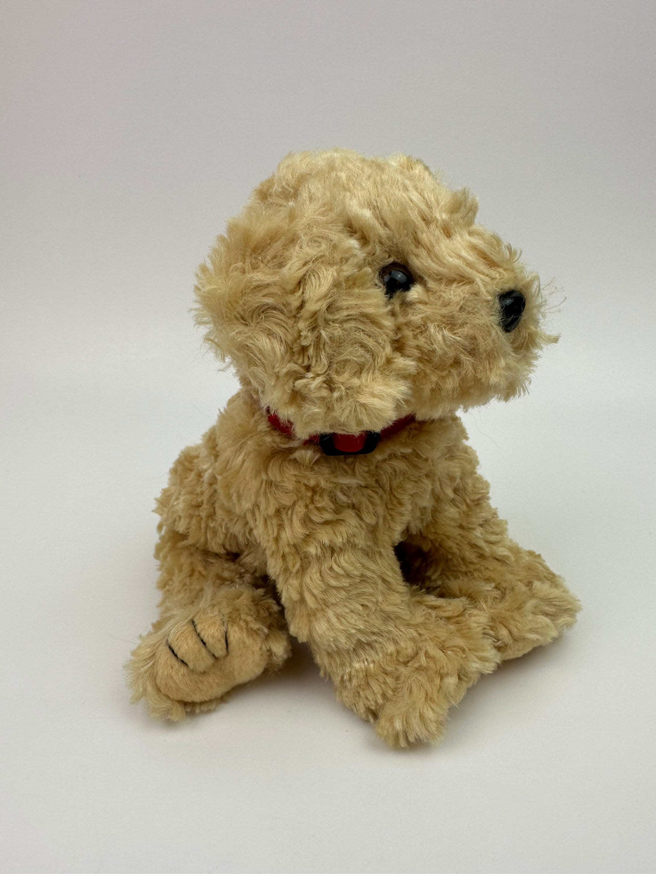 Ty Beanie Baby ゴールデンレトリバー「ドゥーリー」！*レア* (6.5