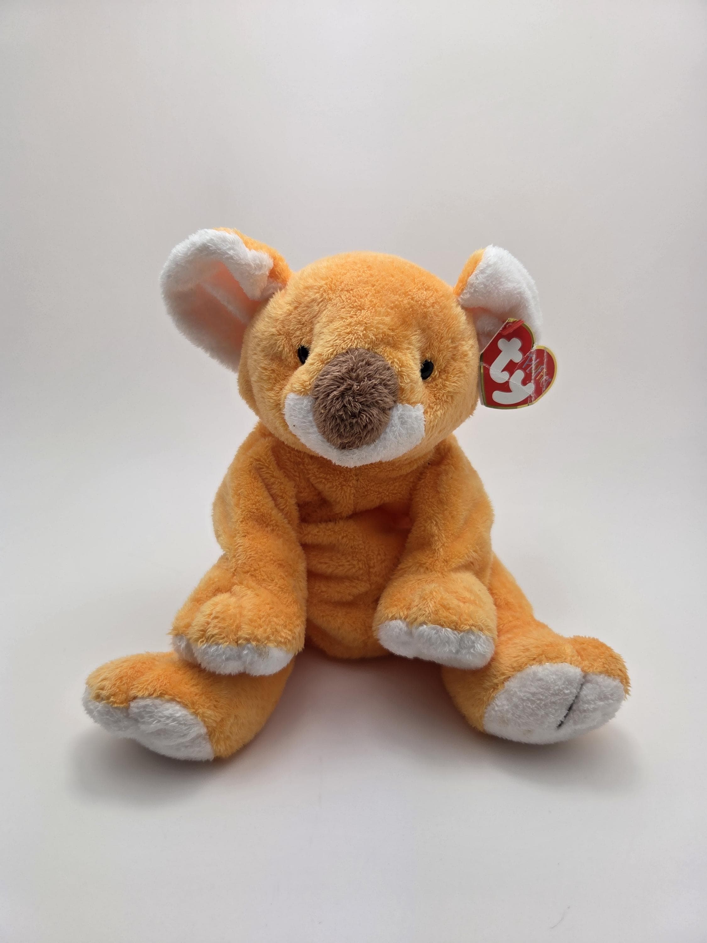 Ty Pluffies Collection “pookie” the Koala *extremely Rare* Creased