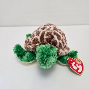 Ty Beanie Baby “Tortuga” the Turtle - Beanie Baby of the Month Winner *Rare* (6 inch)