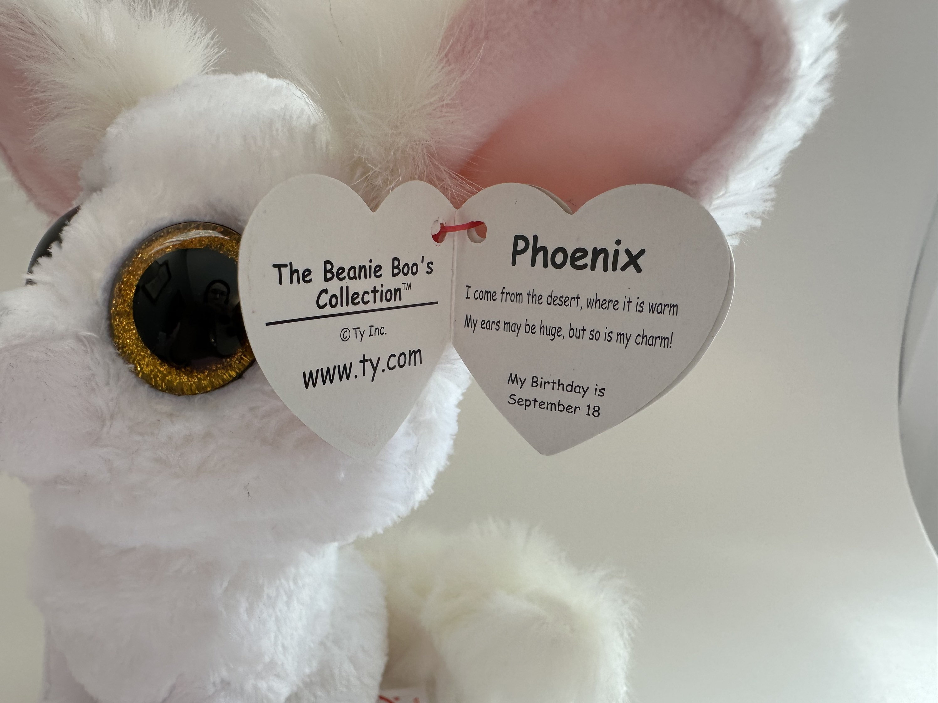 Ty Beanie Boo Original Chihuahua Phoenix Plush – T.Noelle