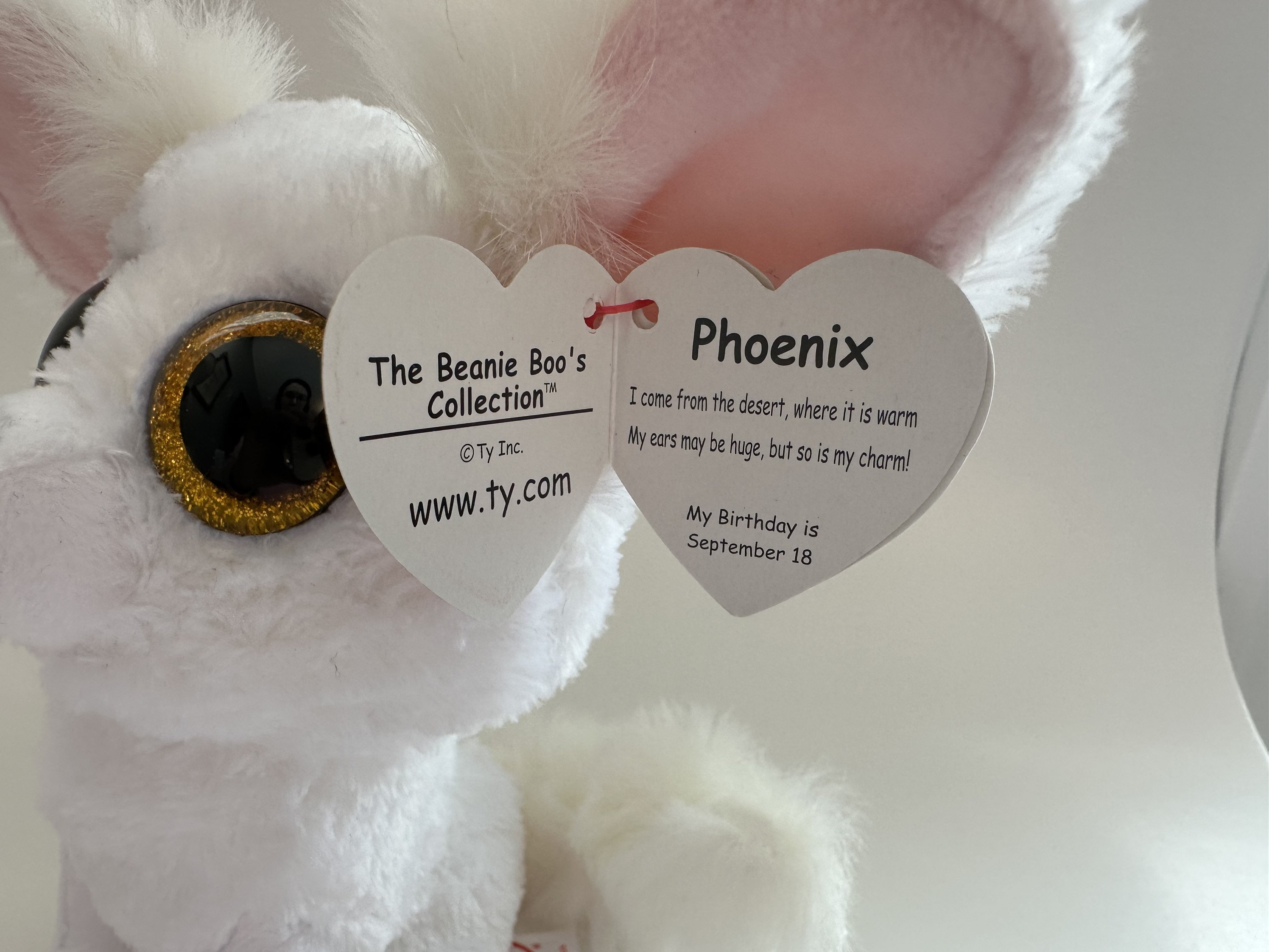 Ty - Beanie Boo - Phoenix, FR, Fr