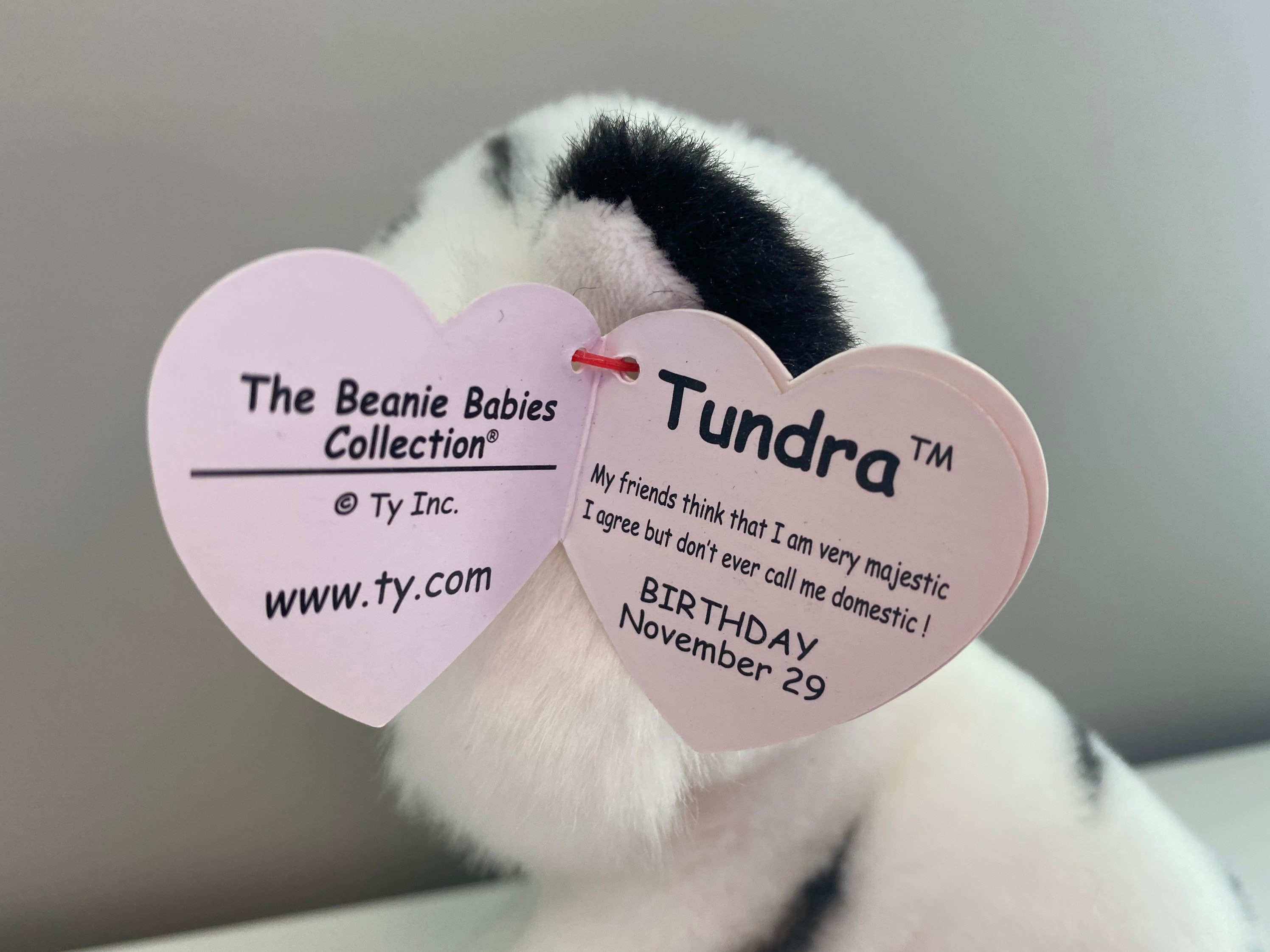 Ty Beanie Baby Tundra the White Tiger 6 inch Etsy