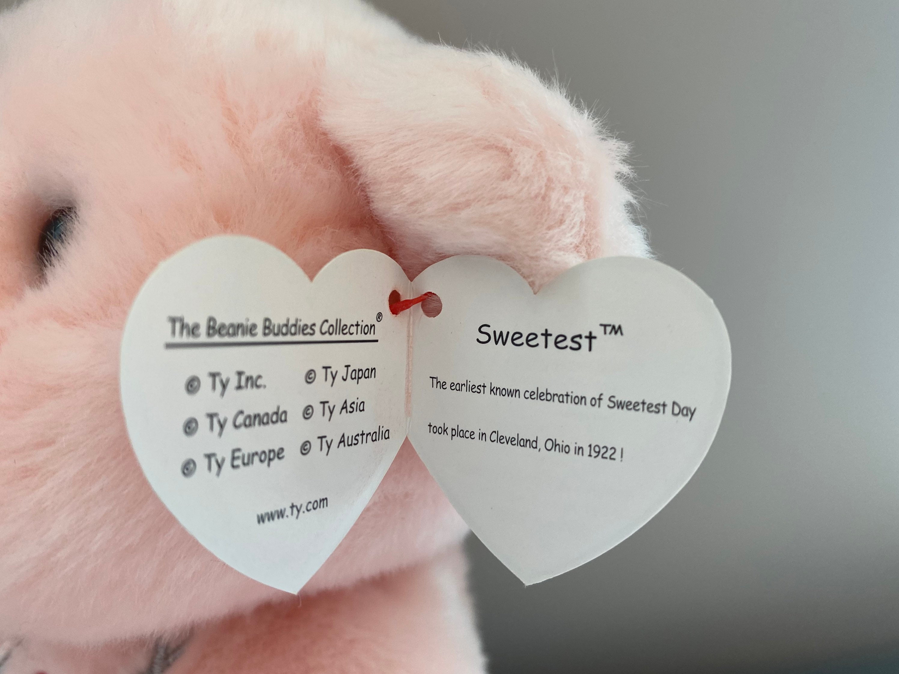 ピンク　ぬいぐるみ　TY Beanie Baby　Beanie Buddy Ty Beanie Buddy “sakura” the Pink Bear - Japan Exclusive