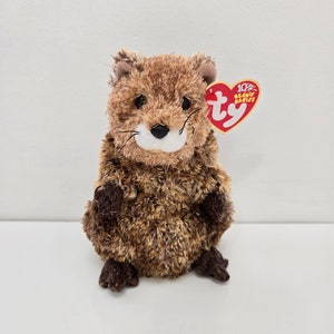 Ty Beanie Baby “Punxsutawn-e Phil” the Groundhog Day Plush - Internet Exclusive  (6.5 inch)