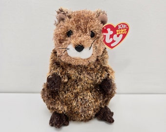 Ty Beanie Baby „Punxsutawn-e Phil“, das Murmeltier-Tag-Plüschtier – exklusiv im Internet (6,5 Zoll)