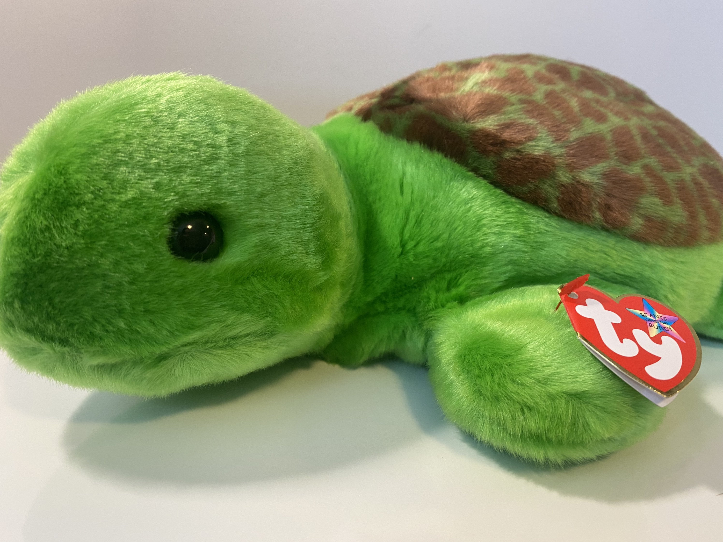 Ty Beanie Buddy “speedy” the Turtle (11 Inch) - Etsy