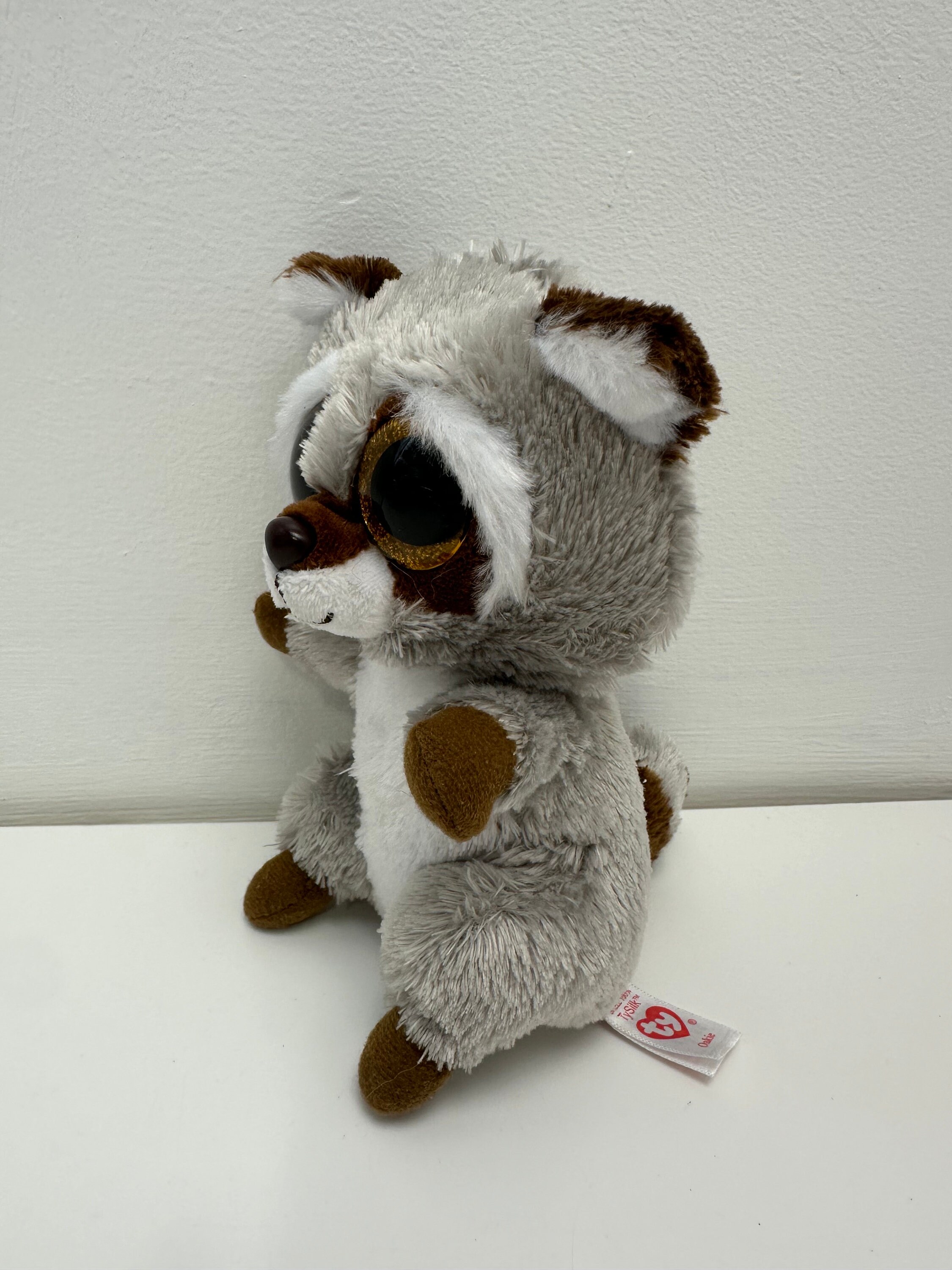 Ty Beanie Boo “oakie” the Grey Racoon No Hang Tag