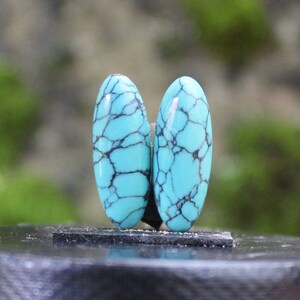 Natural turquoise nevada pair