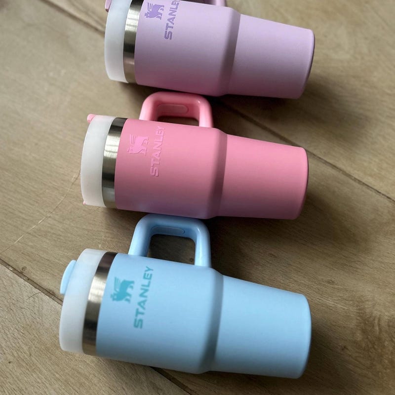 Mini Stanley Cups Etsy