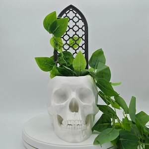 May include: White ceramic skull planter with a black gothic arch design. The planter is filled with green leafy plants.