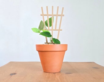 Traliccio per piante Boho, PLA biodegradabile, decorazione per piante da interno