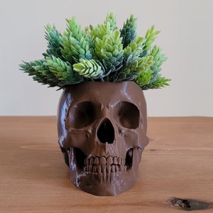 Könnte beinhalten: Ein brauner Schädel-Pflanztopf aus Keramik mit einer grünen Sukkulente, die aus der Oberseite wächst.