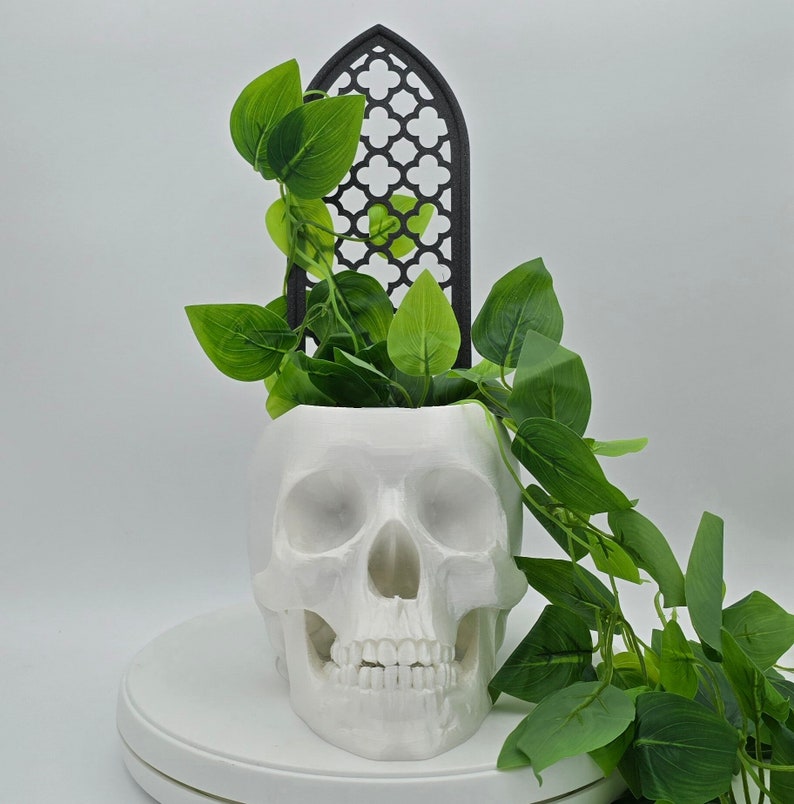 May include: White ceramic skull planter with a black gothic arch design. The planter is filled with green leafy plants.