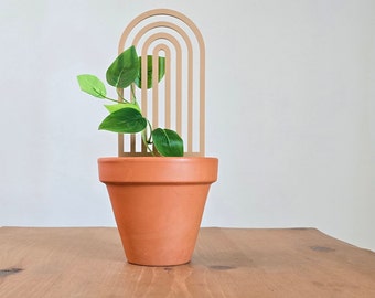 Traliccio per piante arcobaleno, decorazione per piante boho, PLA biodegradabile