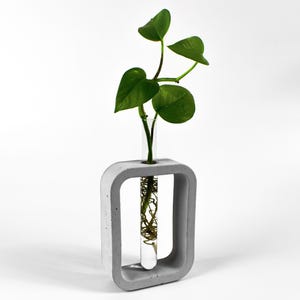 Pode incluir: Um vaso de cimento cinzento com uma moldura quadrada e um tubo de ensaio de vidro no centro. Uma pequena planta verde com folhas está crescendo no tubo de ensaio.