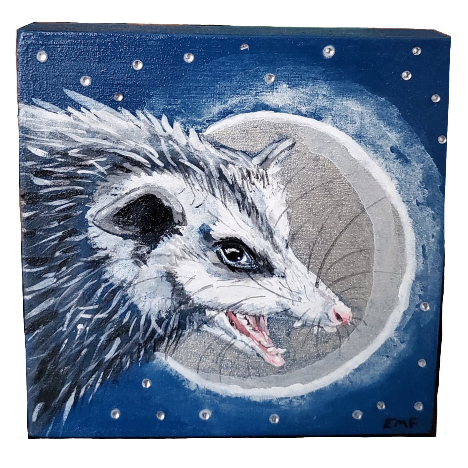 Rat Or Possum? This Tiny Creature Will Surprise You! - t52vsuy