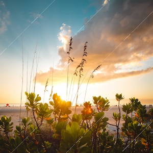Sunset Beach Scene - Sarasota, FL