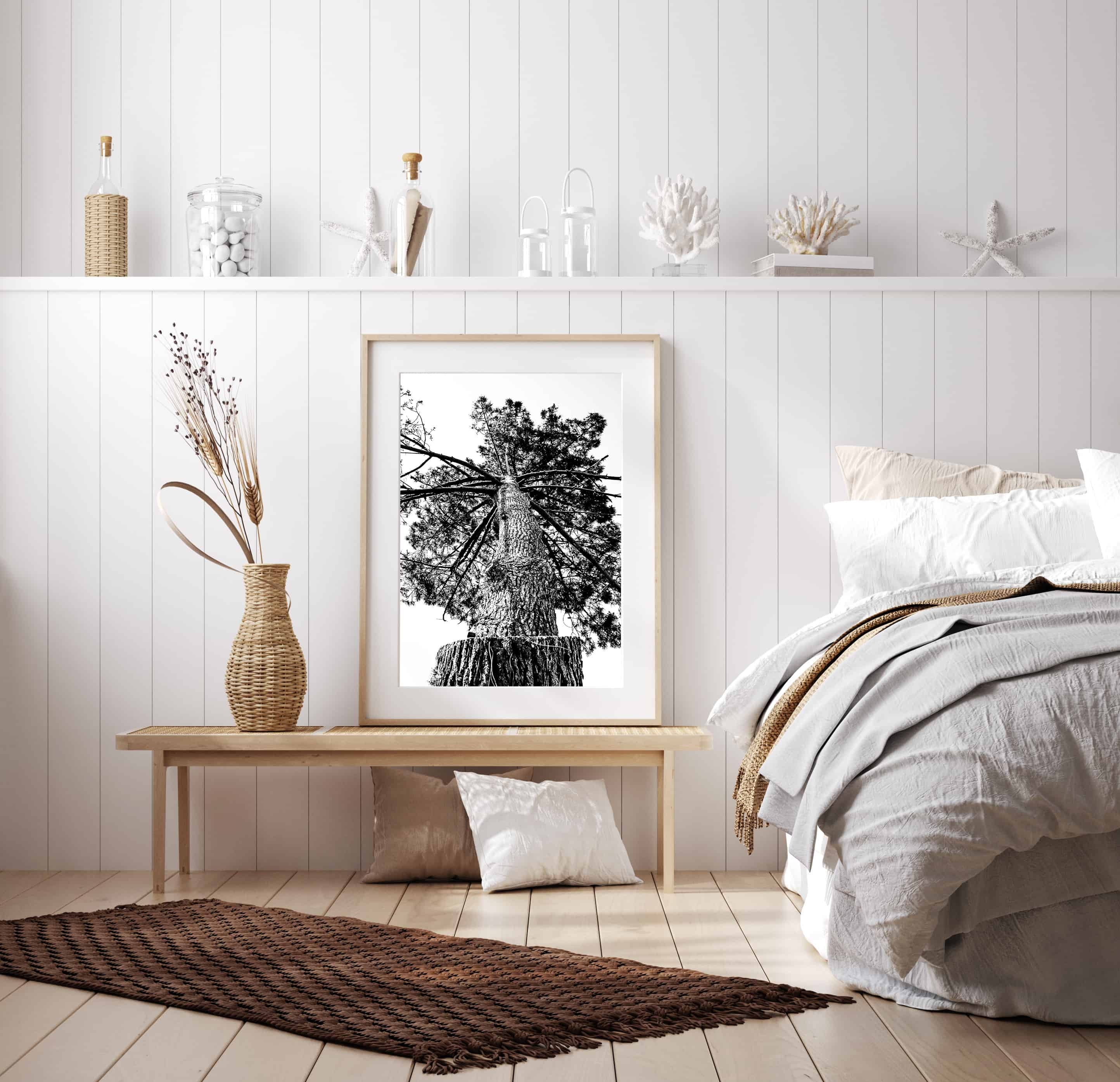 Nature Black and White Photography Fine ART Urban Landscape | Etsy