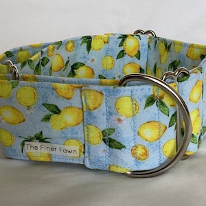 Collar con estampado de limón / Collar ajustable para perro / Collar de tela hecho a mano / Hebilla / Martingala