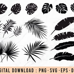 Tropical Leaf SVG Bundle | Tropical Greenery Monstera Plants Leaves Svg | Silhouettes of tropical leaves | Summer Svg, Png, Dxf, EPS
