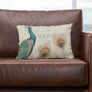May include: A brown leather sofa with a throw blanket and a decorative cushion featuring a peacock with the text "Chateau 1900, rue Bourdon, Paris".