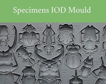 IOD Specimens Mould * Iron Orchid Designs Beetles Bugs