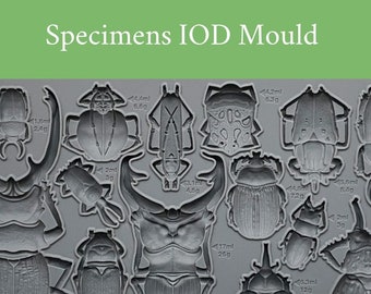 Specimens IOD Mould * Iron Orchid Designs Beetles Bugs