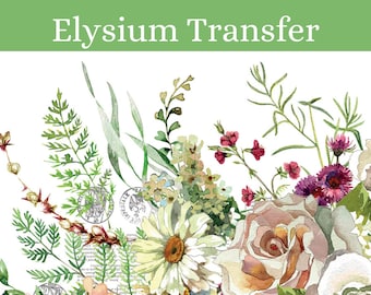 IOD Elysium Transfer * Iron Orchid Designs Floral Bouquet with Roses Daisy Floral Garden Rub On Decal for Furniture Decor