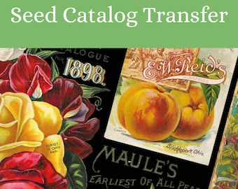 IOD Seed Catalog Transfer * Iron Orchid Designs Garden Flowers Floral Vintage Roses Seeds Rub On Decal for Crafts DIY Furniture