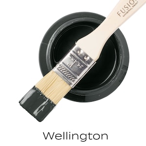 May include: A small jar of black Fusion Mineral Paint with a paintbrush dipped in the paint. The jar has a white label with the text "Fusion Mineral Paint" and the name of the color, "Wellington".